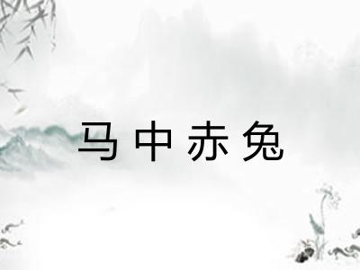 马中赤兔 马中赤兔