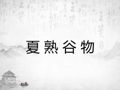 夏熟谷物 夏熟谷物