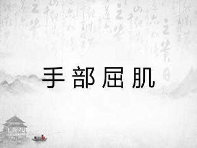 手部屈肌 手部屈肌