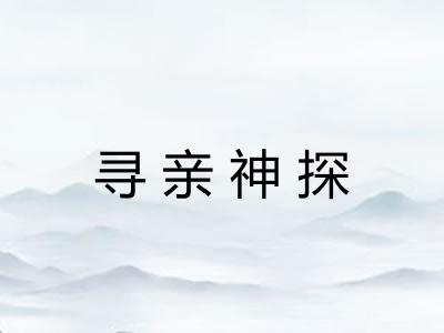 寻亲神探 寻亲神探