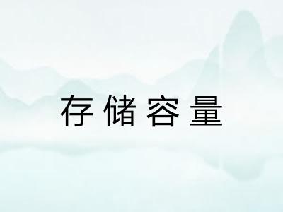 存储容量 存储容量