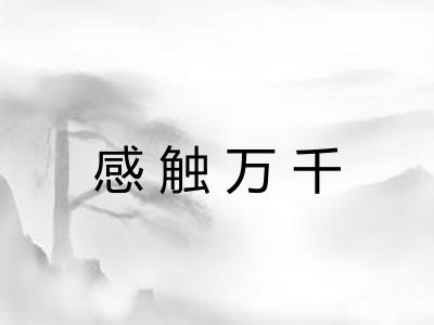 感触万千 感触万千