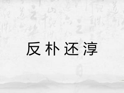 反朴还淳 反朴还淳