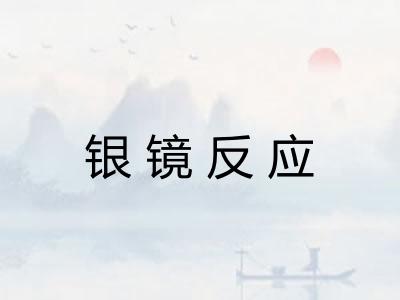 银镜反应 银镜反应