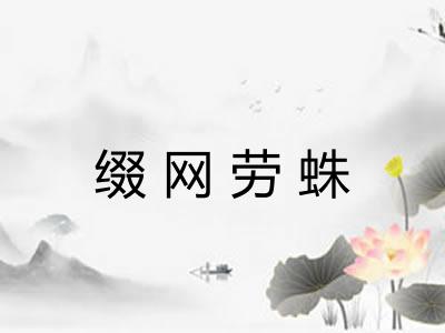 缀网劳蛛 缀网劳蛛