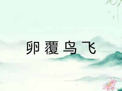 卵覆鸟飞 卵覆鸟飞