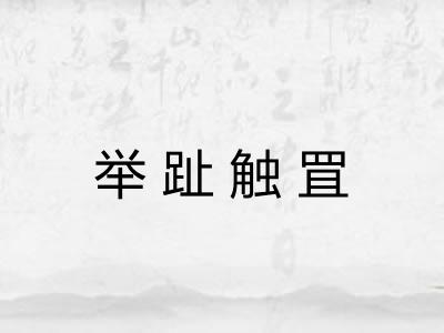 举趾触罝