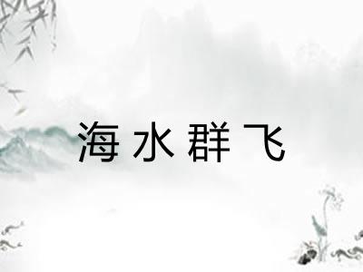 海水群飞