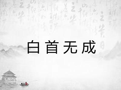 白首无成