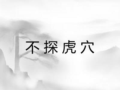 不探虎穴 不探虎穴