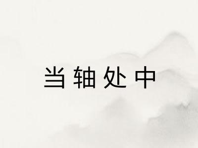 当轴处中 当轴处中