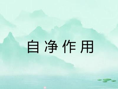 自净作用 自净作用