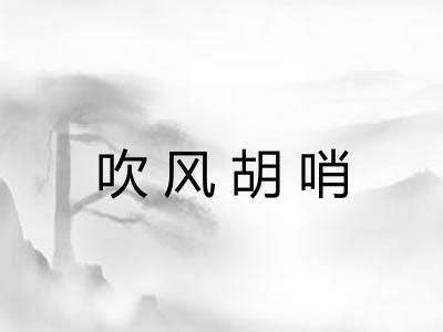 吹风胡哨 吹风胡哨