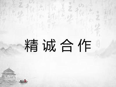精诚合作