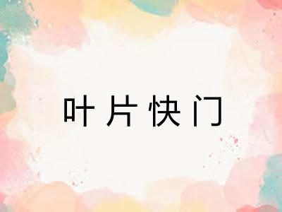 叶片快门 叶片快门