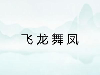 飞龙舞凤