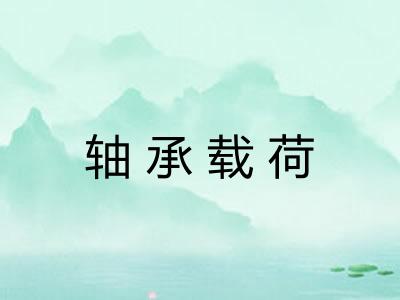 轴承载荷 轴承载荷