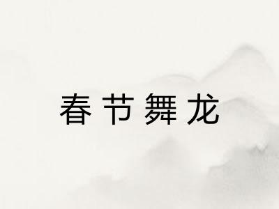 春节舞龙 春节舞龙