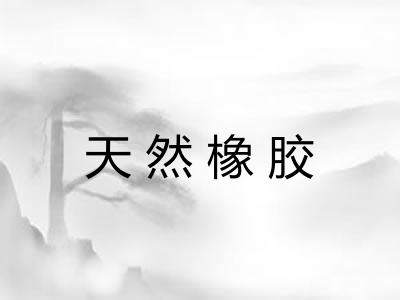 天然橡胶 天然橡胶