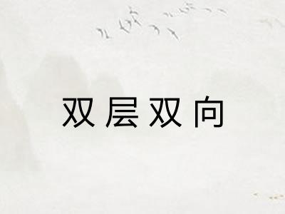 双层双向
