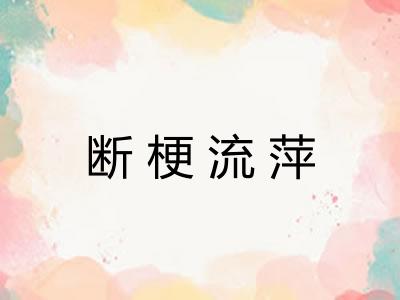 断梗流萍 断梗流萍