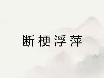 断梗浮萍 断梗浮萍