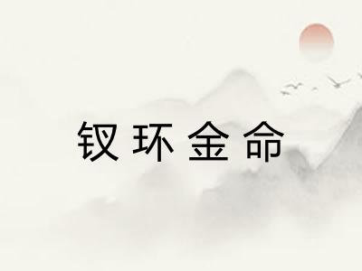 钗环金命 钗环金命