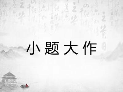 小题大作