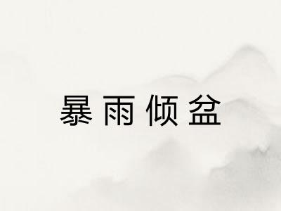 暴雨倾盆 暴雨倾盆