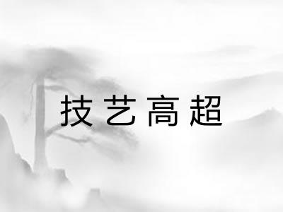 技艺高超 技艺高超