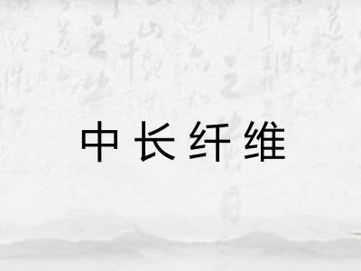中长纤维 中长纤维
