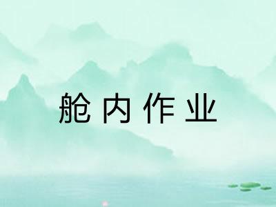 舱内作业 舱内作业