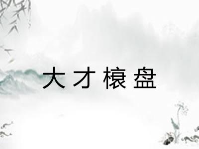 大才榱盘 大才榱盘