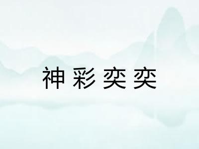 神彩奕奕 神彩奕奕