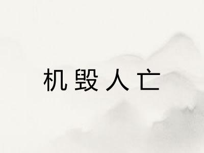 机毁人亡 机毁人亡