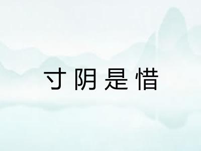 寸阴是惜 寸阴是惜