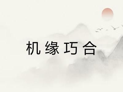 机缘巧合 机缘巧合