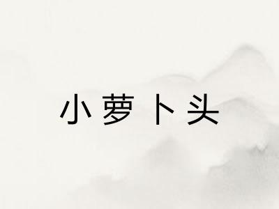 小萝卜头 小萝卜头