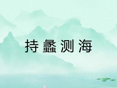 持蠡测海
