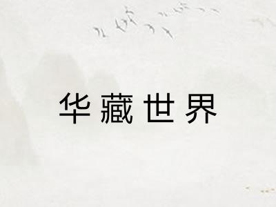 华藏世界 华藏世界