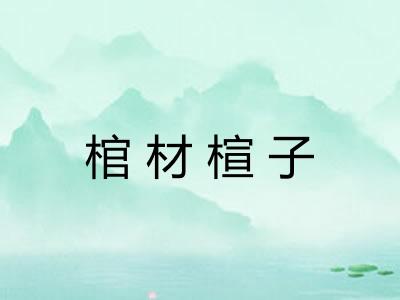 棺材楦子 棺材楦子