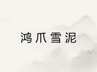 鸿爪雪泥 鸿爪雪泥