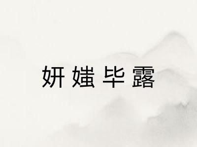 妍媸毕露 妍媸毕露