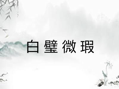 白璧微瑕 白璧微瑕