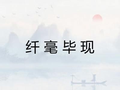 纤毫毕现
