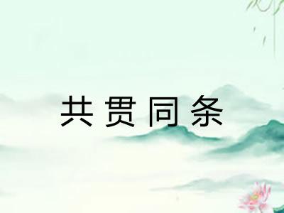 共贯同条 共贯同条