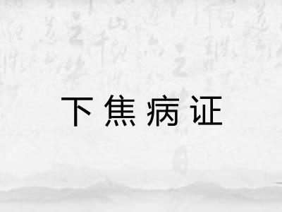 下焦病证 下焦病证