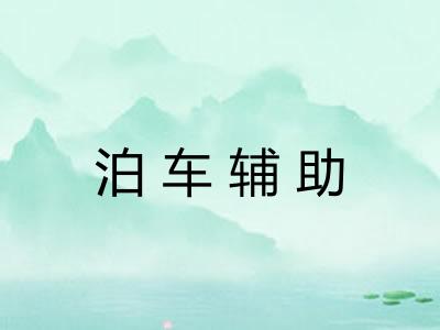 泊车辅助 泊车辅助