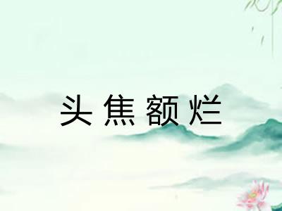 头焦额烂 头焦额烂