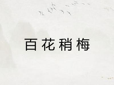 百花稍梅 百花稍梅